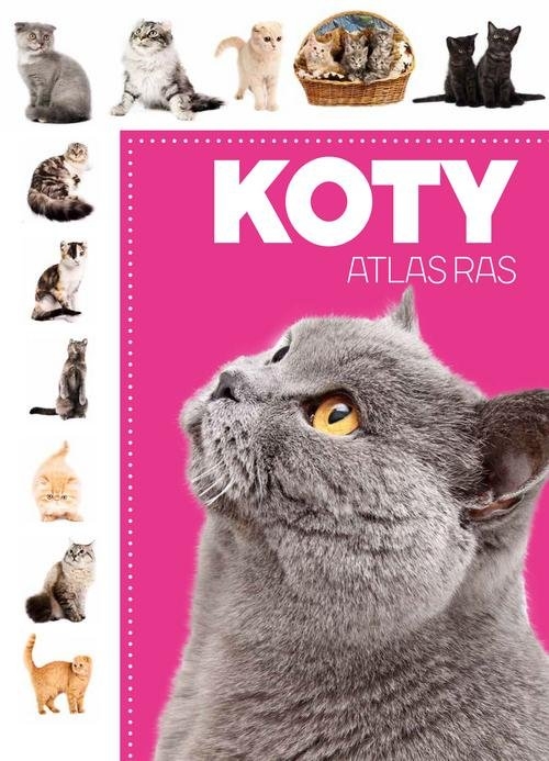 Atlas ras Koty