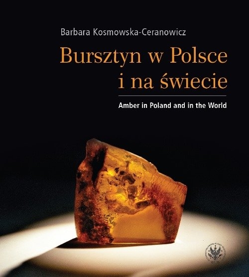 Bursztyn w Polsce i na świecie. Amber in Poland and in the World