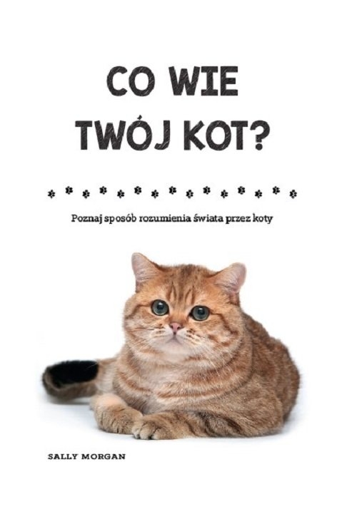 Co wie Twój kot?. Poznaj sposób rozumienia świata przez koty