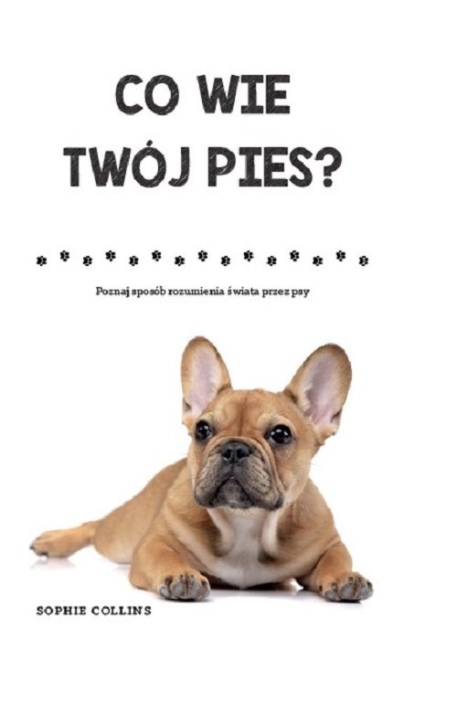 Co wie Twój pies?. Poznaj sposób rozumienia świata przez psy