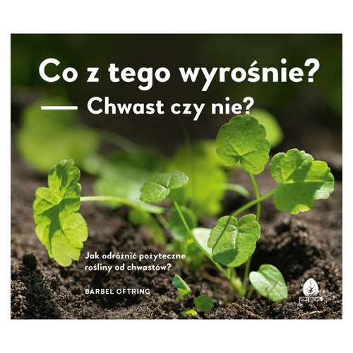 Co z tego wyrośnie? Chwast czy nie?. Jak odróżnić pożyteczne rośliny od chwastów?